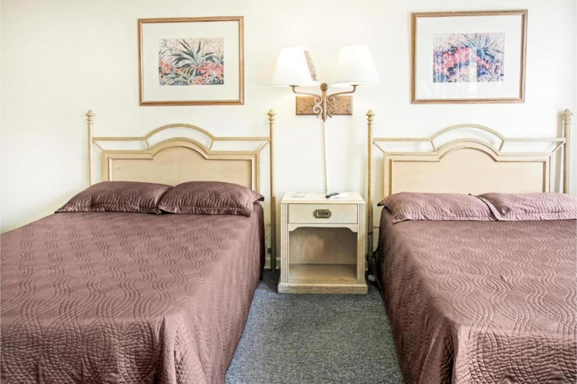 Oyo Historic Cameron Hotel Brownsville I-69E エクステリア 写真